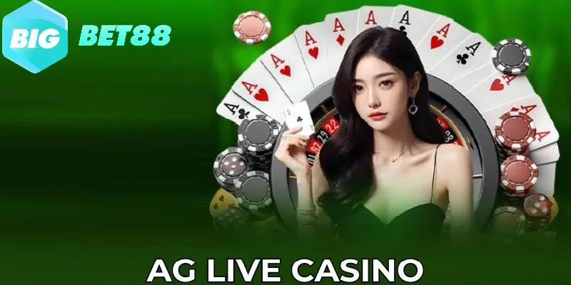 dg la sanh casino dang cap hang dau hien nay DG là sảnh casino đẳng cấp hàng đầu hiện nay