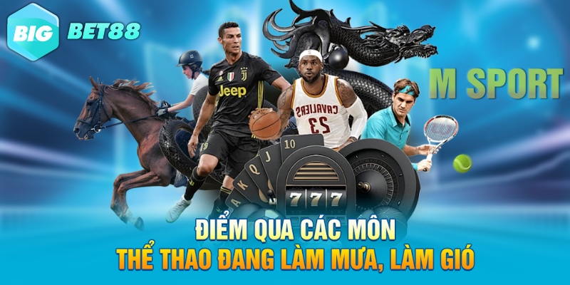 diem qua cac mon the thao dang lam mua lam gio Điểm qua các môn thể thao đang làm mưa, làm gió