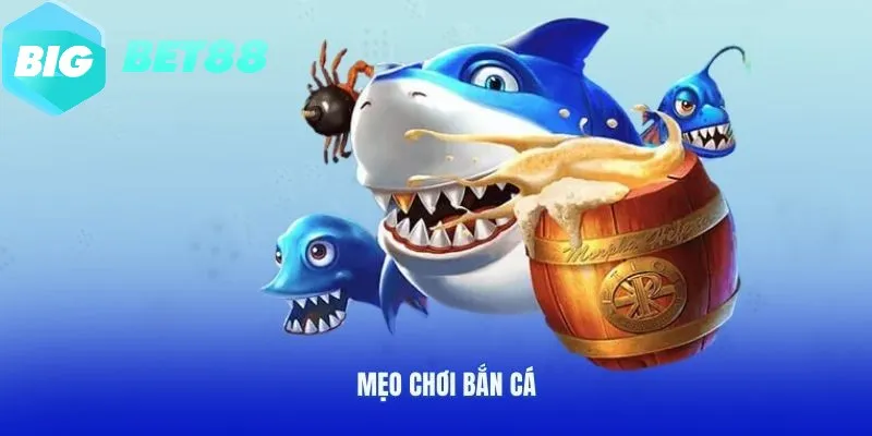 hieu ro meo tham gia game ban ca doi thuong bigbet88 de danh phan thang Hiểu rõ mẹo tham gia game bắn cá đổi thưởng Bigbet88 để dành phần thắng
