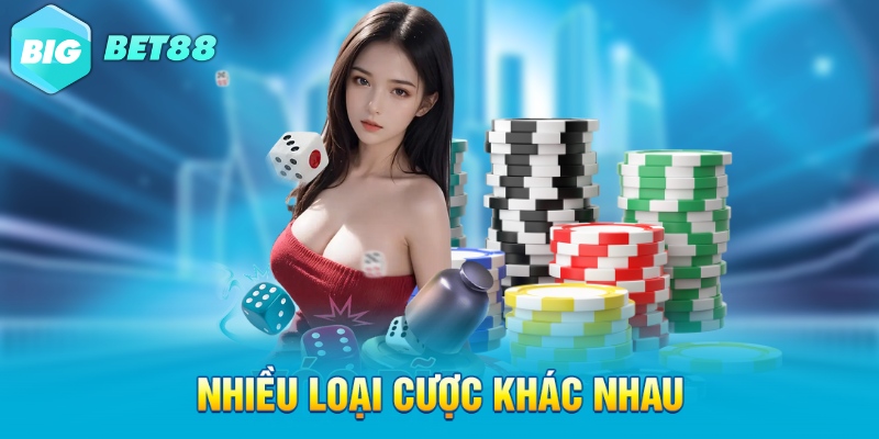 nhieu loai cuoc khac nhau Nhiều loại cược khác nhau