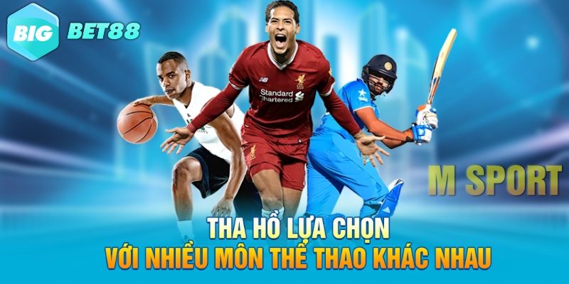 tha ho lua chon voi nhieu mon the thao khac nhau Tha hồ lựa chọn với nhiều môn thể thao khác nhau