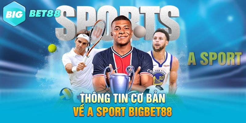 thong tin co ban ve a sport bigbet88 Thông tin cơ bản về A Sport Bigbet88