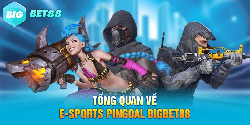 tong quan ve e sports pingoal bigbet88 Tổng quan về E-Sports PinGoal Bigbet88